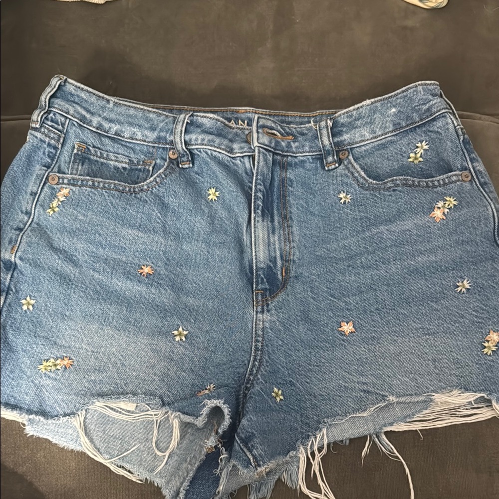 Embroidered Denim Shorts